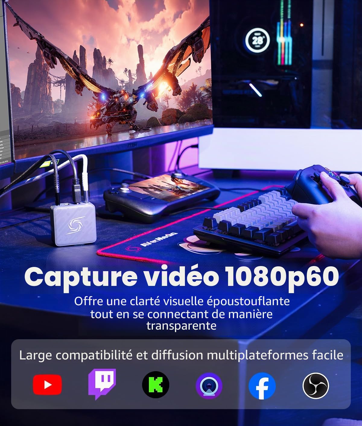 AVerMedia GO Series GC313 Pro carte capture 1080p60 noir