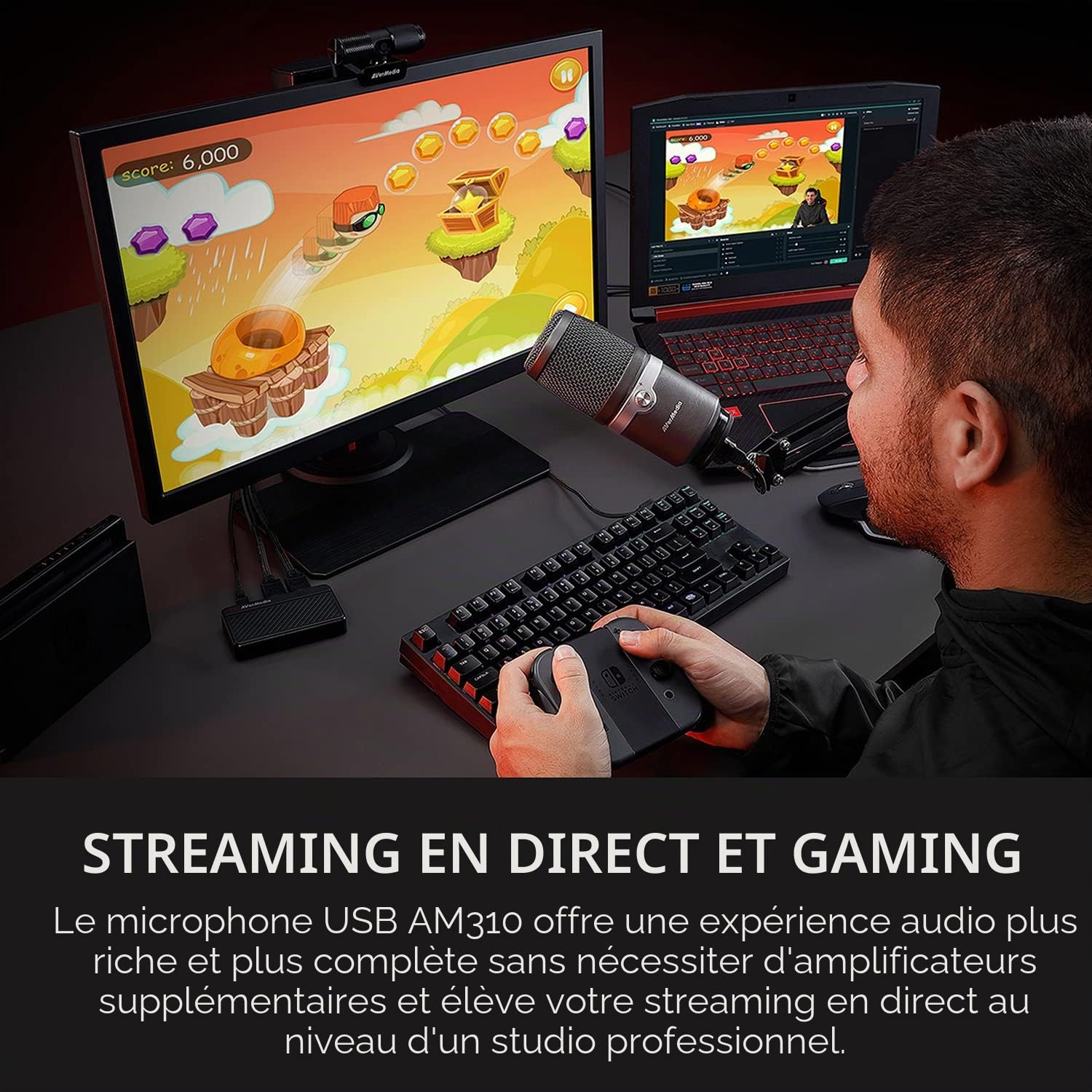 AVerMedia Live Streamer AM310 micro USB cardioïde noir
