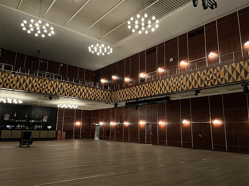 Tecnopoint Tuning Ceiling Dolly 250 dolly plafond PTZ