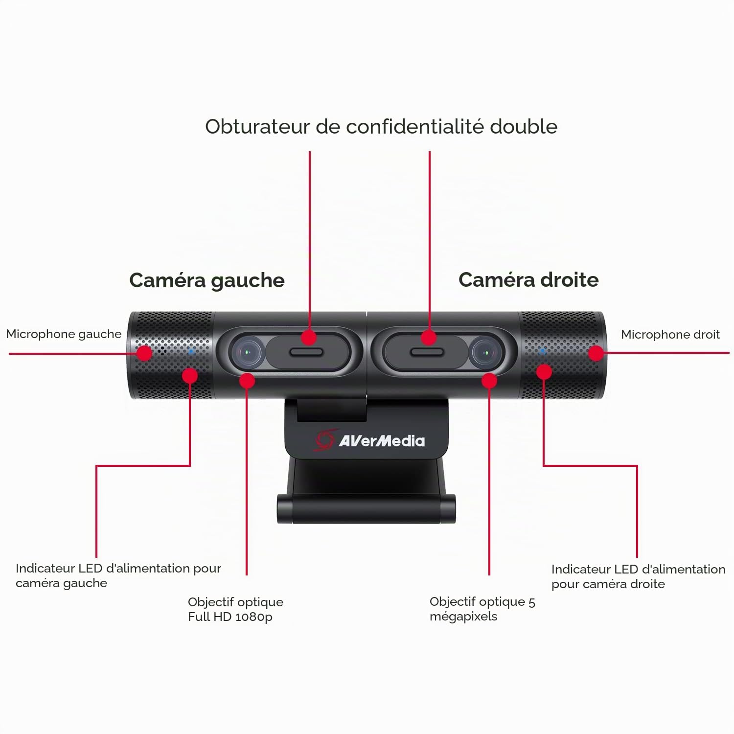 AVerMedia Live Streamer PW313D webcam double 2K autofocus